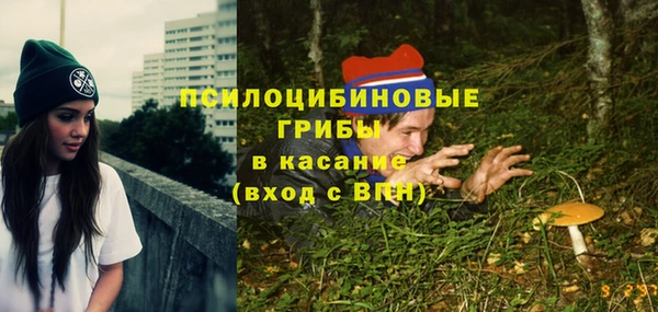 СК Краснослободск