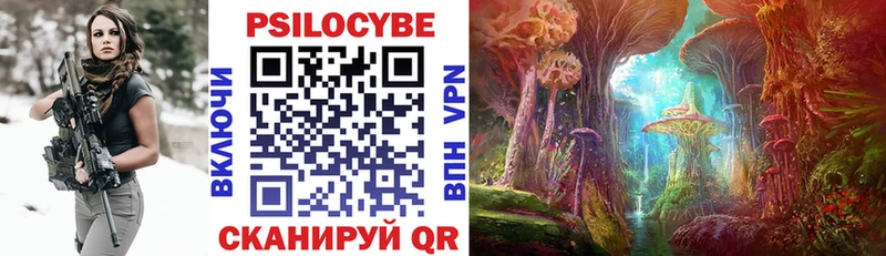 Псилоцибиновые грибы GOLDEN TEACHER Купить закладки Сыктывкар